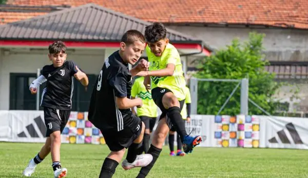 Latest Updates on Juventus Football Club