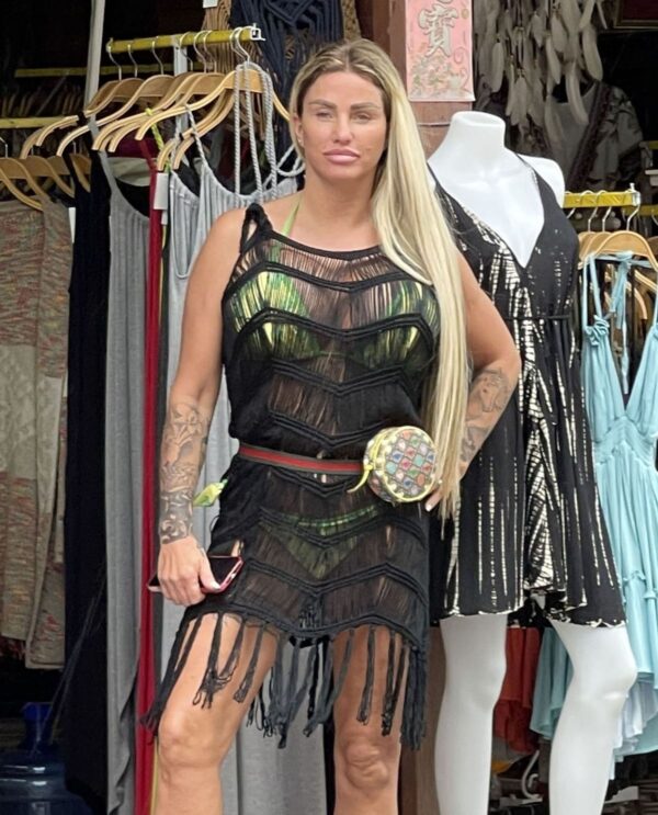 The Journey of Katie Price: Career and Personal Challenges