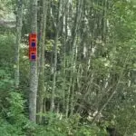 Exploring the Charms and Culture of Kentucky