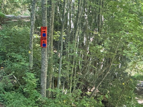 Exploring the Charms and Culture of Kentucky