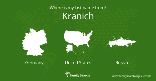 The Kranich: An Insight into Its Migration Patterns