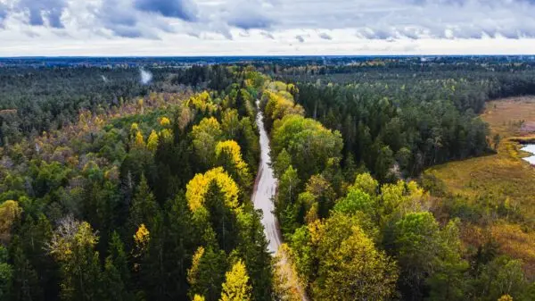 Discovering Latvia: Culture, History, and Natural Beauty
