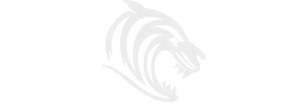 All About Leicester Tigers: Legacy and Current Status