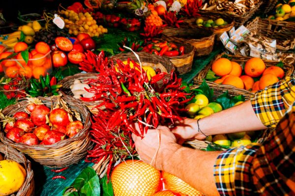 An Overview of the Current Situation in Lebanon