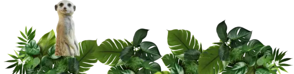 Exploring Longleat: Safari Park and Historical Estate