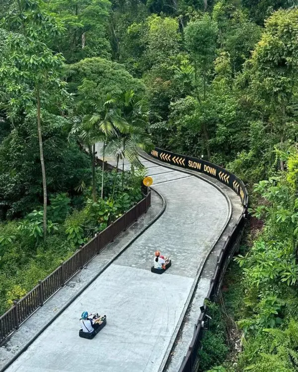 Exploring the Thrilling Sport of Luge