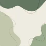 The Growing Importance of Matcha in Modern Wellness