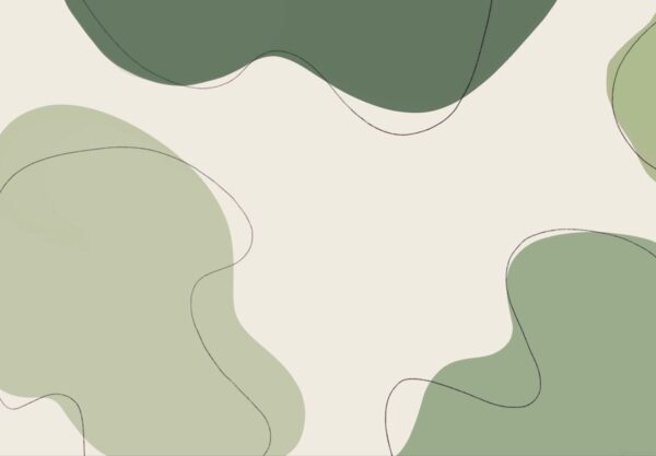 The Growing Importance of Matcha in Modern Wellness