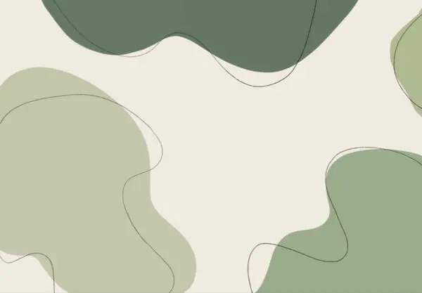 The Growing Importance of Matcha in Modern Wellness