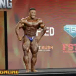 Understanding the National League and Its Current Trends