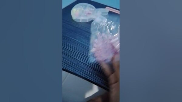 Exploring the Significance of New Hampshire (NH)