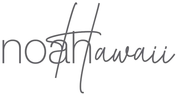 Noah Lang: A New Voice in Contemporary Music