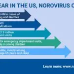 The Impact and Prevention of Norovirus Outbreaks