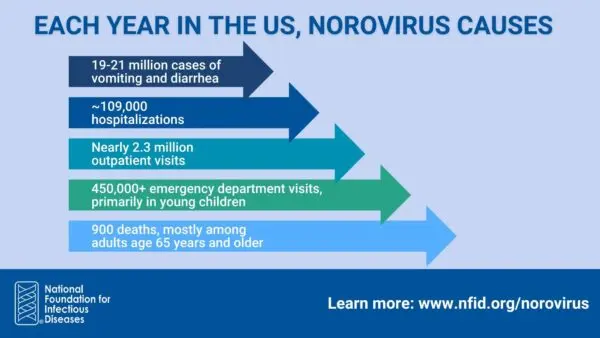 The Impact and Prevention of Norovirus Outbreaks