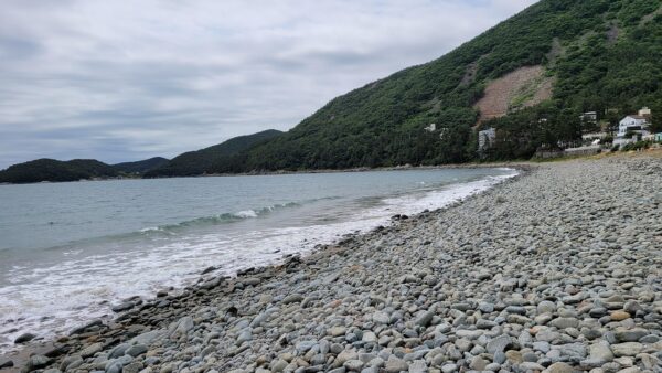 Exploring the Beauty and History of Pebble Beach