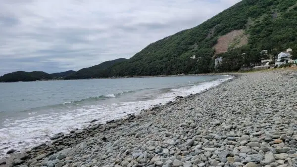 Exploring the Beauty and History of Pebble Beach