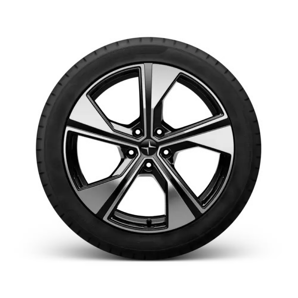 Polestar: Leading the Charge for Electric Vehicles