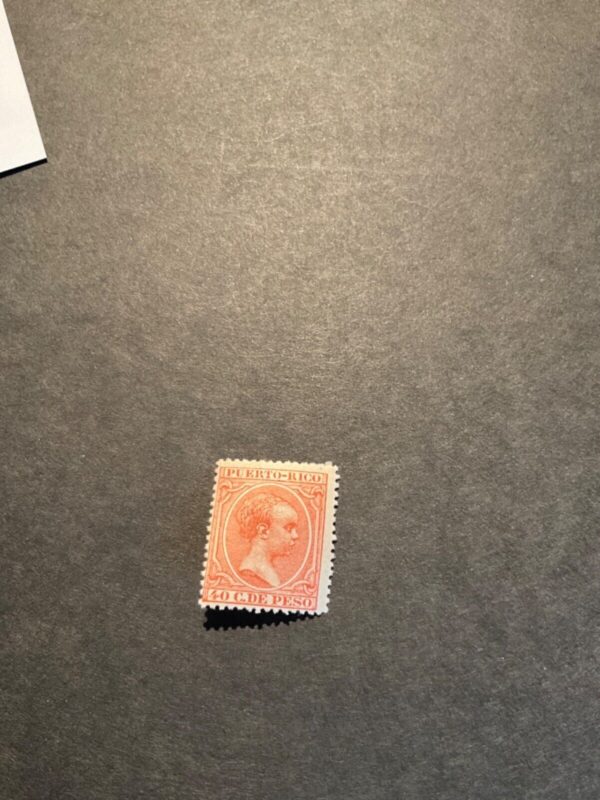 Discovering Puerto Rico: Culture, Resilience, and Current Events