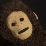 The Popularisation of Quizzes in the Digital Age