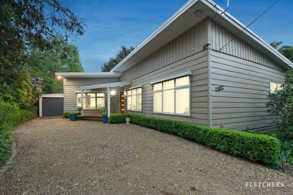 Exploring the Charm and Vibrancy of Ringwood