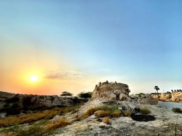 Saudi Arabia’s Economic Transformation and Global Role