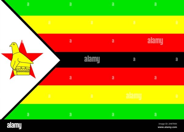 Current Developments and Challenges in Simbabwe