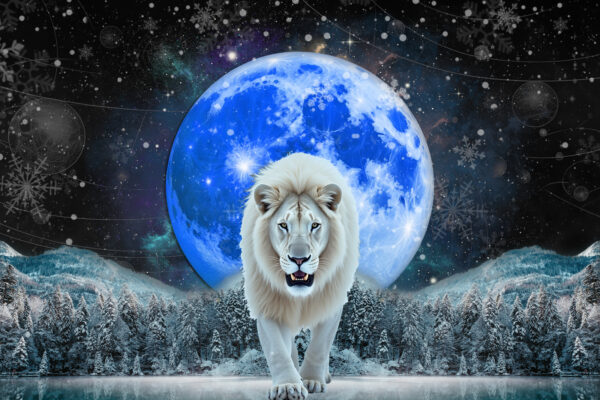 The Snow Moon Full Moon: January 2024 Highlights