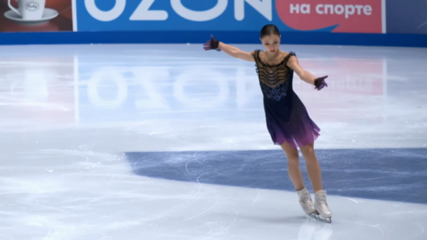 The Impact of Sofia Samodelkina on Digital Media