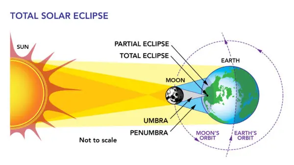 The Science and Significance of Solar Eclipses