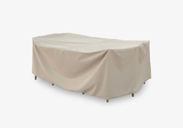 Exploring the Legacy and Future of Sporting CP