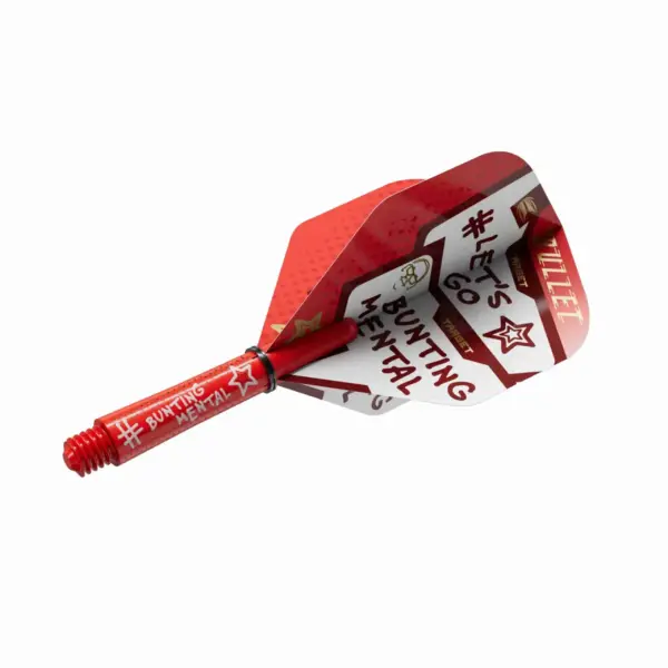 Stephen Bunting: A Look at His Journey in Darts