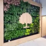 Understanding the Student Loans Company and Its Role in Education Funding