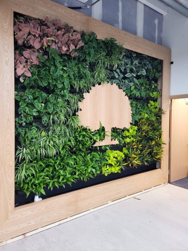 Understanding the Student Loans Company and Its Role in Education Funding