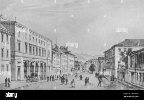 Stuttgart II Takes on 1860 München: A Key Encounter