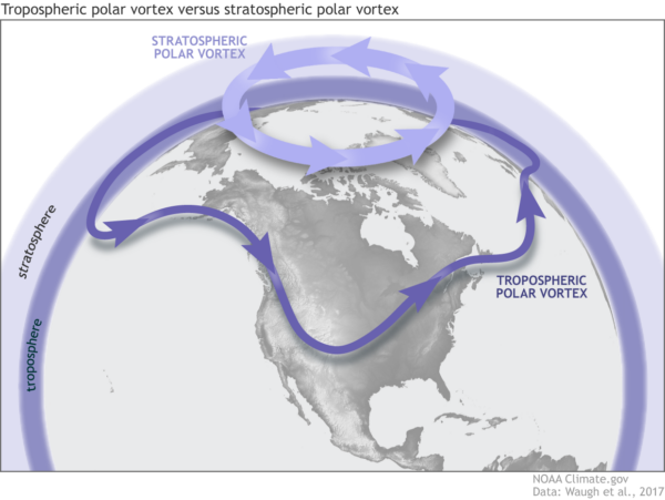 Understanding Sudden Stratospheric Warming and Its Effects