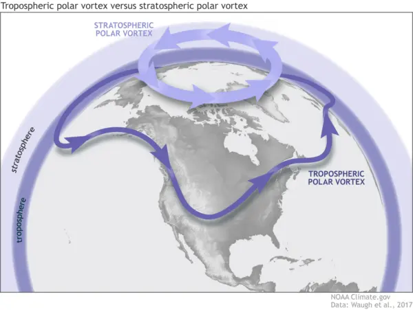 Understanding Sudden Stratospheric Warming and Its Effects