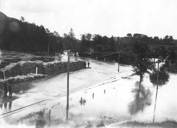 Examining the Surge in Renewable Energy Adoption