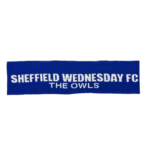 Sheffield Wednesday Football Club: Current Updates and Future Prospects