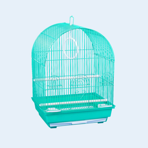 A Journey Through the Vibrant City of Taipei