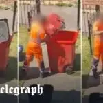 Essential Recycling Advice from The No1 Binman