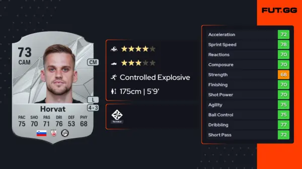 Tomi Horvat: A Glimpse into His Football Journey