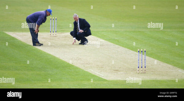 Exploring the Legacy of Tony Pigott