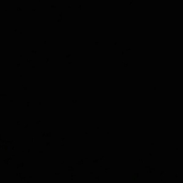 Trevor Davison: A Promising Talent in the Sports World