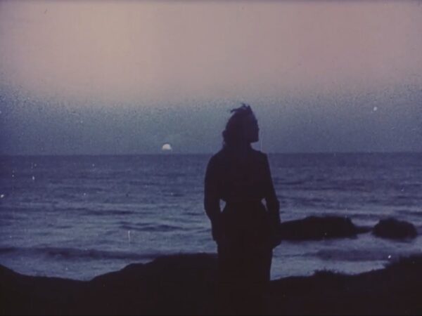 Exploring the Recent Tumblr Down Outages: Users Affected