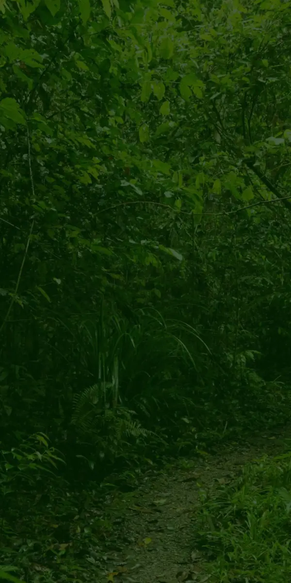 Twycross Zoo: A Leader in Wildlife Conservation