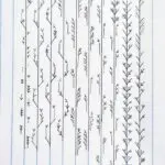 Exploring the Letter U: Definitions and Significance