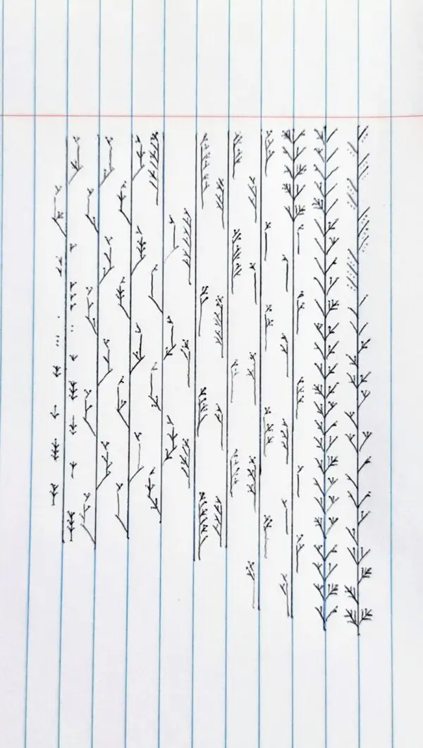 Exploring the Letter U: Definitions and Significance