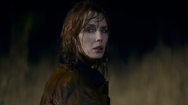 Understanding the Ecosystem Under the Salt Marsh