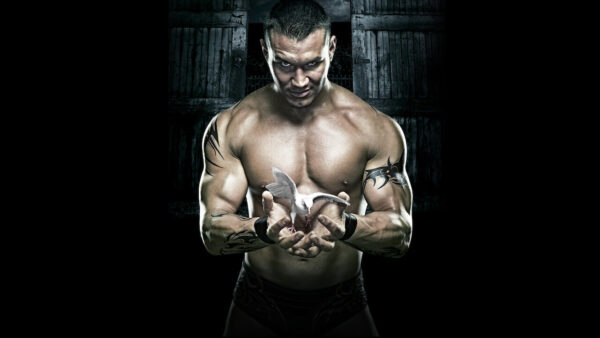 Exploring Unfamiliar Netflix Shows You Should Watch in 2023