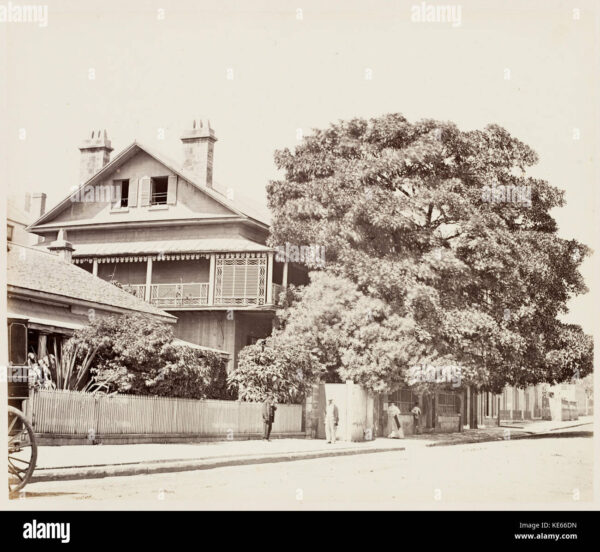 The Victoria Line: London’s Essential Transport Link